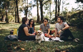 picnic con amigos