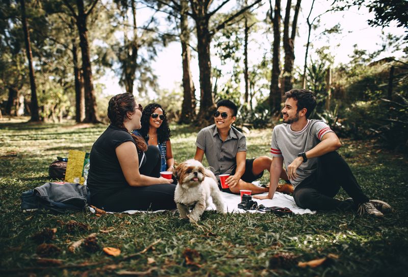 picnic con amigos
